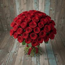 Букет 55 Красных роз Фридом #REPLACE_PRED# Кардоникской